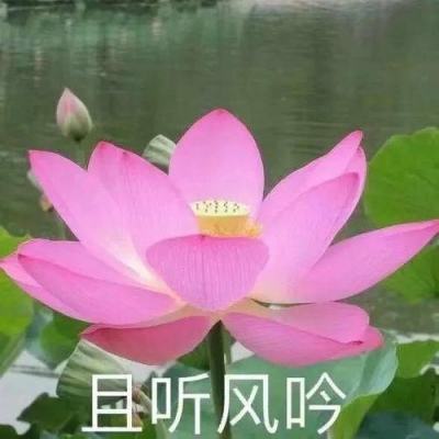 隋唐双龙传手游下载